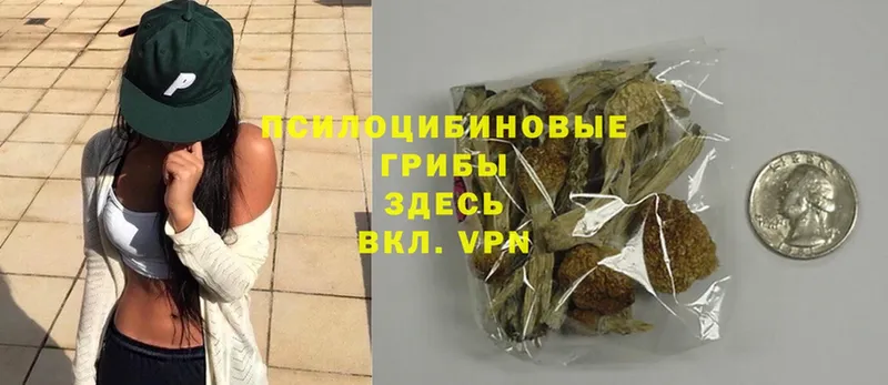 закладка  Апрелевка  MEGA вход  Галлюциногенные грибы Magic Shrooms 